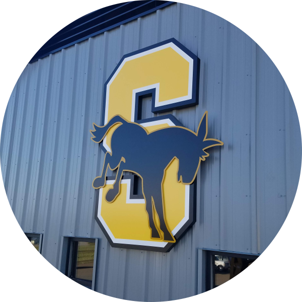 A custom logo of a donkey overlayed over the letter S in yellow and blue.
